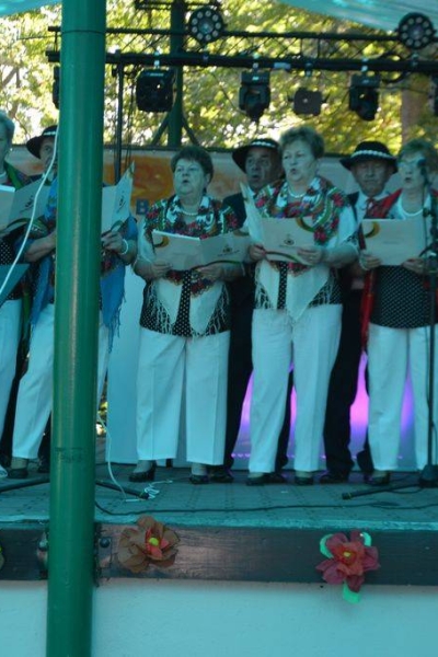 Nasi koncertują