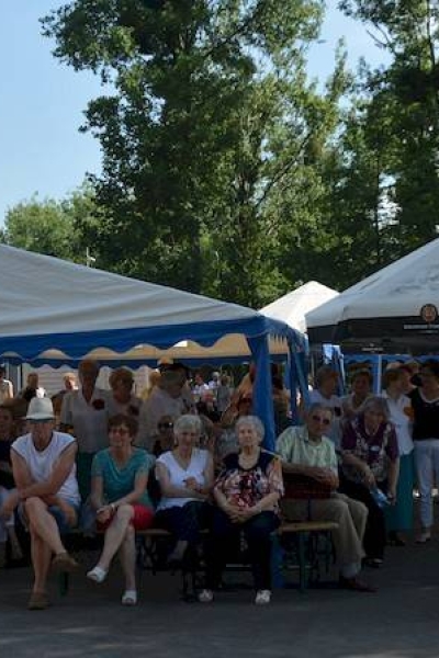 Złota Jesień w Środzie 06.06.2019r.